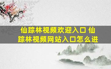 仙踪林视频欢迎入口 仙踪林视频网站入口怎么进